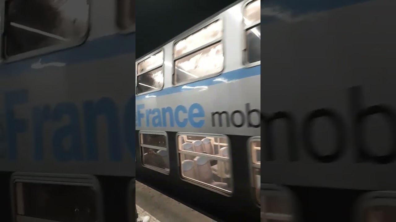 RER Train Gare de Lyon Paris 18 Nov  2023