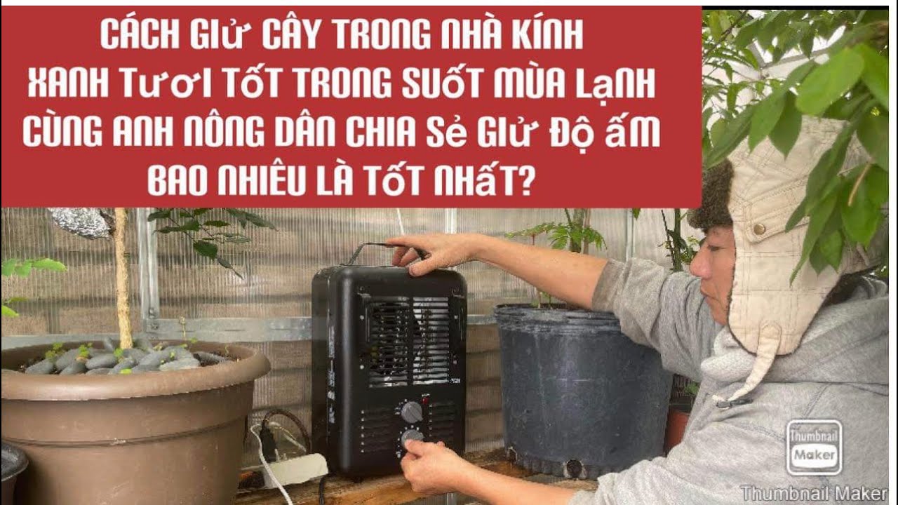 chia sẻ từng chi tiết , giữ nhiệt độ bao nhiêu cây trong nhà kính xanh tươi tốt trong suốt mùa lạnh
