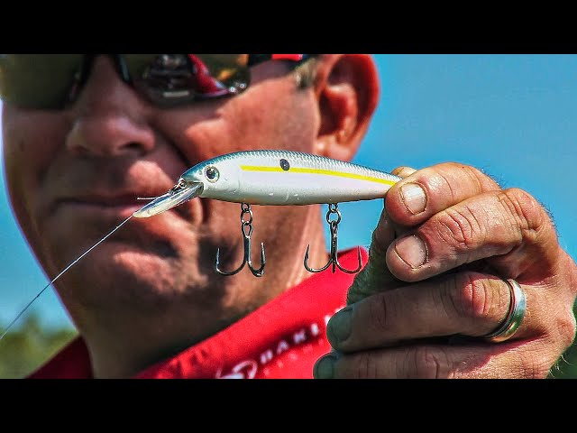 How to Fish a Jerkbait for Bass - Basic Tips for Beginners 