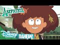 Der erste Eindruck zählt! | Amphibia