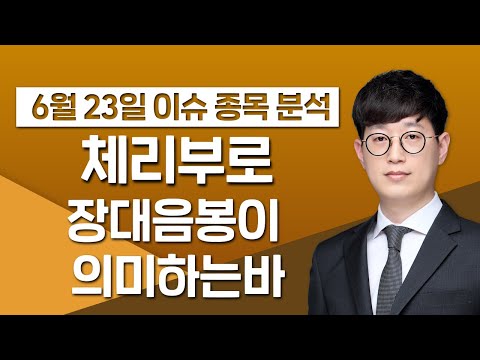 [체리부로 066360] 장대음봉이 의미하는바 / 청개구리투자클럽