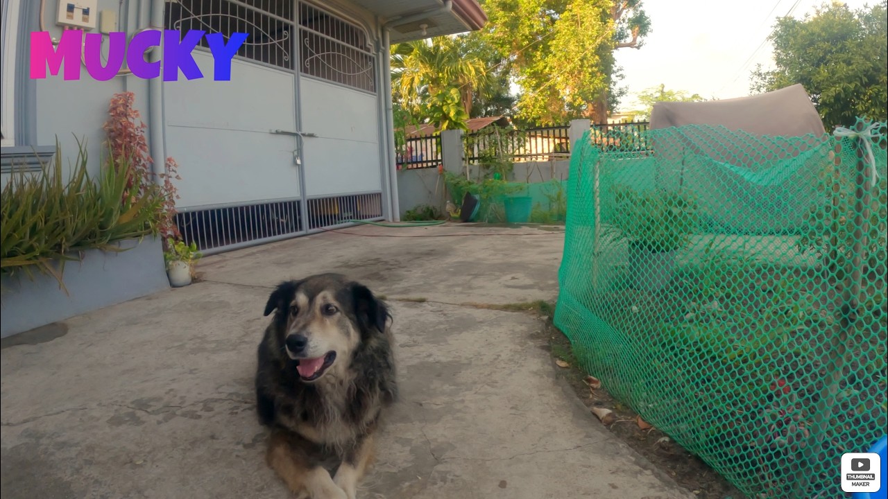 Американец на пенсии, проживающий на Филиппинах - 27 февраля 2026 г.