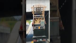 Safari Vehicle Collides with Water Bridge at Disney World #shorts