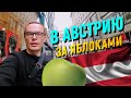 ДЕНЬ 14 Поездка в Вену за часами от Apple. Поездка в Австрию