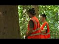 FOS Forest Rally Stage Live Stream 2026 | Day 2