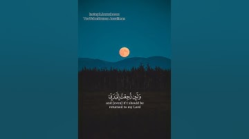 لا يسأم الإنسان من دعاء الخير|القارئ ماهر المعيقلي سورة فصلت | راحة نفسية🤍🌿 #ماهر_المعيقلي #حالات
