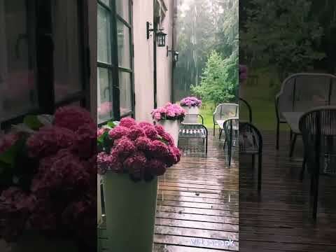 ليل الشتا لنادر الشراري بدون موسيقى