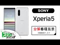 【SONY】Xperia5 修理分解風景※画面剥がしまで【スマホ修理のスマートまっくす】