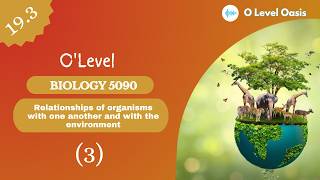 Ecosystem | Chapter 19 | Unit 19.3 | Ecosystems and Biodiversity