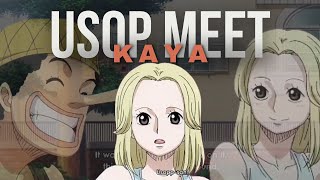 In which episode does Luffy meet Nami for the first time? - Quora