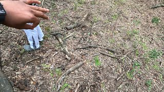 Full Random video dump ๐ธ Update