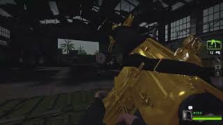 Black Ops 1 Gold Commando Over Sg552