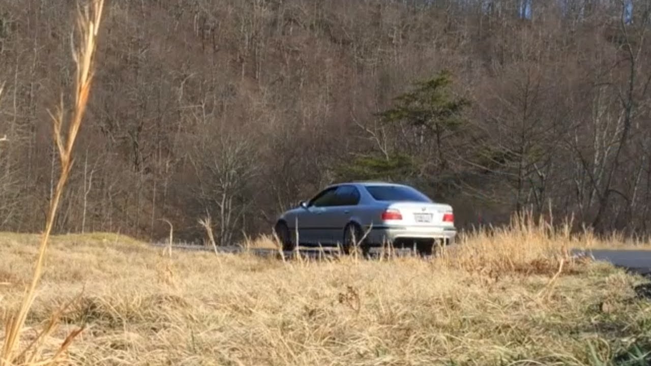 Nature & The Beast:  Melvin's 2000 E39 M5