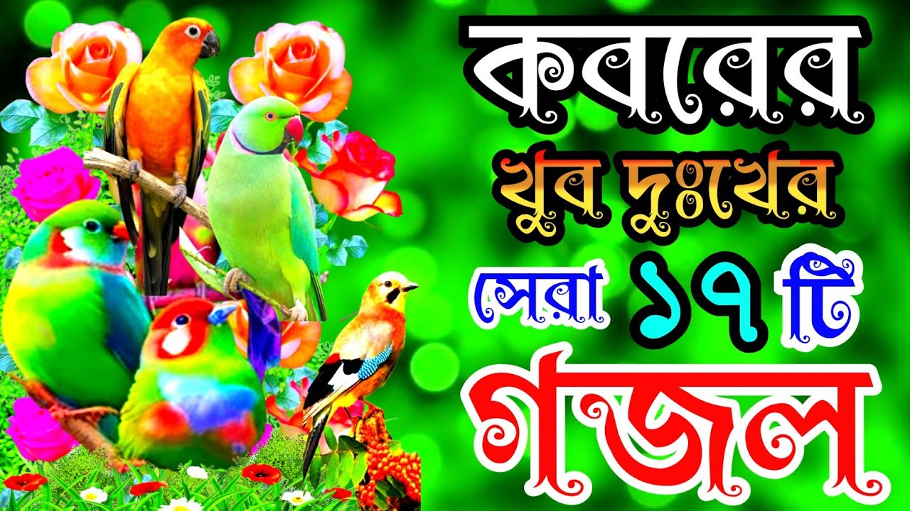 খুবই দুঃখের কবরের শেষ বিদায়ের কষ্টের সেরা ১৭টি গজল |বাংলা বাছাইকৃত গজল |Selected Gajal |New Gojol 