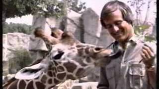 Nick Jr Commercials March 24, 1997 Part 8