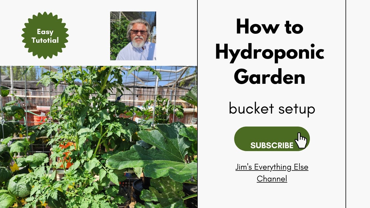 Hydroponics for Beginners at Home (bucket setup) - YouTube