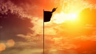 FLAG_ITN_ID.flv