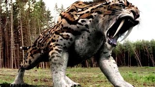 Fossil Entry #8, Smilodon/Saber-Toothed Cats