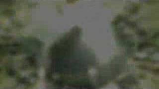 Haze - Launch Trailer