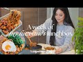 A week of husbands lunchbox ep 3    cozy homecooked recipes