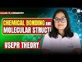 Vsepr Theory | Chemical bonding and molecular structure | Class 11 CHEMISTRY #HS #CLASS11th