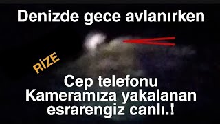 Rize'de varlığı bilinen lakin daha önce hiç görüntülenemeyen bir canlı ile karşılaştık ve yakaladık