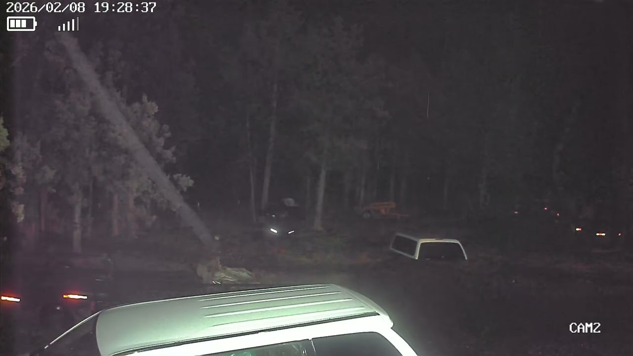Fairies or orbs? The arrival the other video is them departing. 3am prinevilile. Oregon 