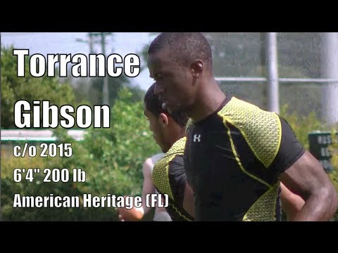 Torrance Gibson '15 : American Heritage (FL) Airo/