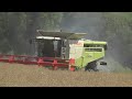 Raps Dreschen in Unstrut Hainich Kreis mit Claas Ernte Maschinen Claas Lexion 770 TT Vario 10,50 Sch