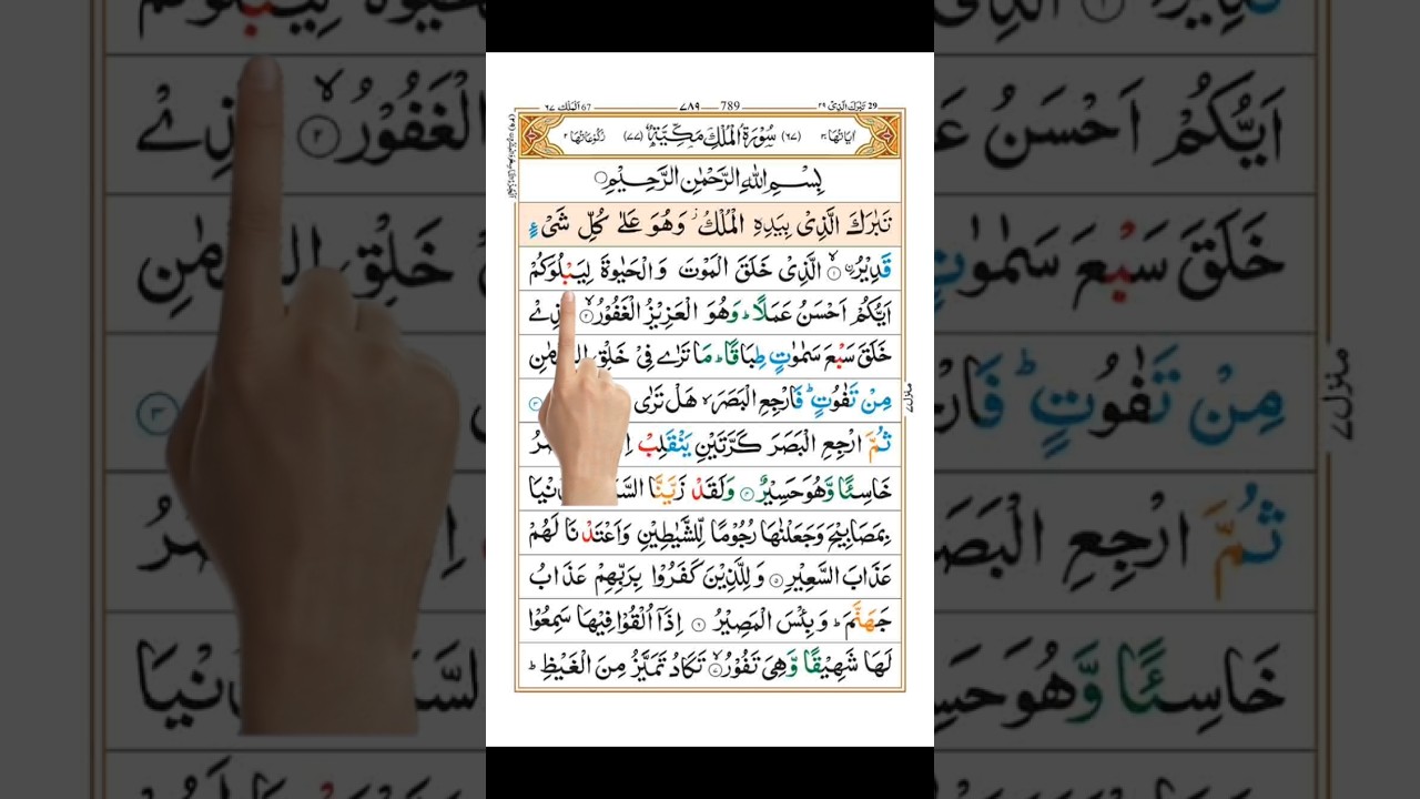 Surah Mulk Full HD Arabic Text #shorts #youtubeshorts