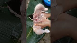 মাশাআল্লাহ খুব সুন্দর আলোচনা