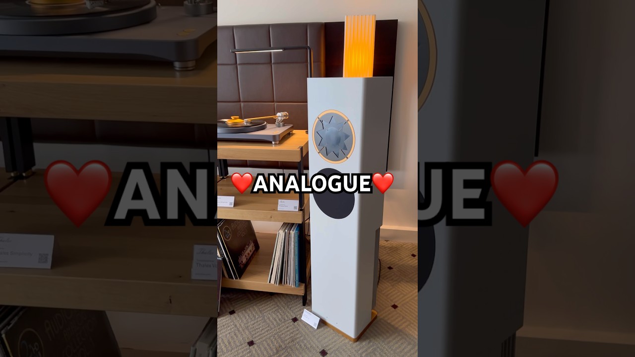 Акустические системы MANGER, проигрыватель винила THALES Phono, аналоговая стереосистема Hi-Fi кл...