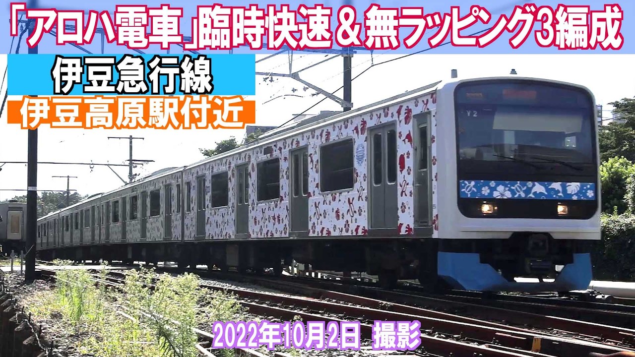 伊豆急行線】3000系「アロハ電車」臨時快速＆無ラッピング3編成 2022年