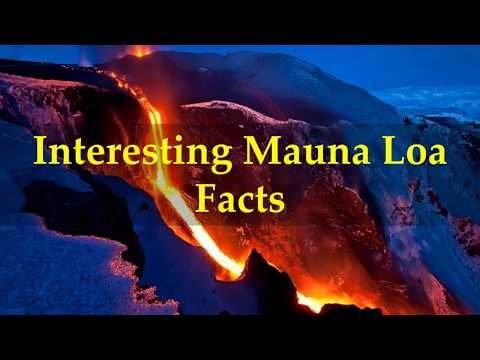 Video: What Is Mauna And How Is It Useful