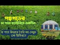 পঞ্চগড় জেলা দর্শনীয় স্থান | Morgen Tea Factory | চাপাতা কিভাবে তৈরি হয় | #panchagarhtouristplace