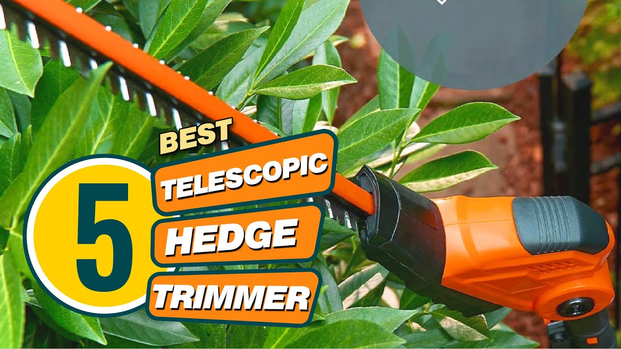 5 Best Telescopic Hedge Trimmers [Review] Telescoping Convertible