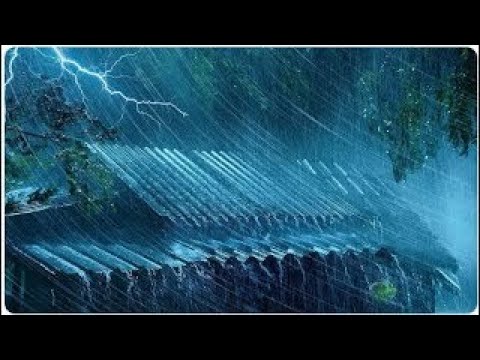 Relaxing Rain Sounds on Tin Roof for Sleeping | Deep Sleep, Thunder, and Heavy Rain for Relaxation