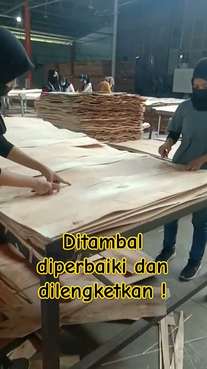 Repair shortcore di pabrik plywood #plywood #kerajinankayu #woodworking #furniture