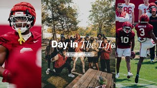 LARRY WORTH AND THE RAZORBACKS GO PAINT BALLING !