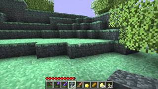 MineCraft Nether to Aether - Episode 13 "MOAS!!!" screenshot 4