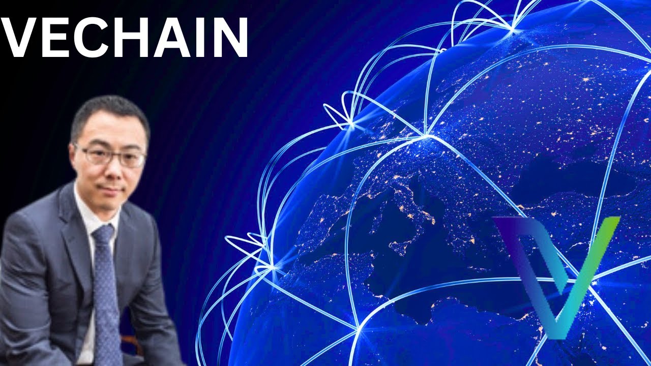 VeChain INSANE Global Mission Is Coming To Fruition NOW! VET Just Getting Started!