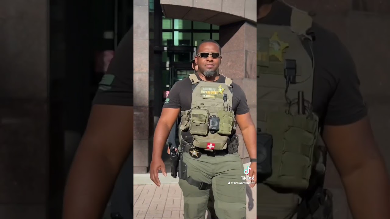 Тактические подразделения BAT и VIPER БСО.