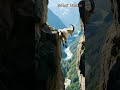 Elegant Descent: White Mountain Goat Gracefully Navigates Cliffs