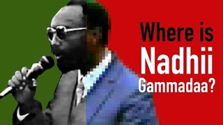 Amaan Nyafaroo(Jaal Nadhii)