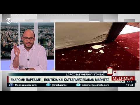 Διαμονή Κύπριων μαθητών με τρωκτικά-κατσαρίδες σε ξενοδοχείο της Θεσσαλονίκης (1)