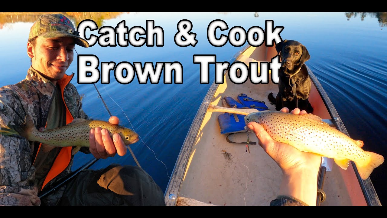 Catch and Cook Maine Brown Trout