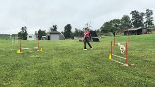 Memorial day VT run- Woodford Elite Regular Round 2, Run 1