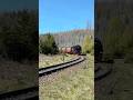 Flink im Bogen voran #locomotive #steamtrain #fyp #steampower #explorepage #germany #sound
