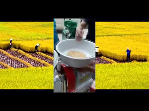 Video Máy xay xác lúa gạo- nghiền liên hoàn 2 tác dụng TF888... - youtube