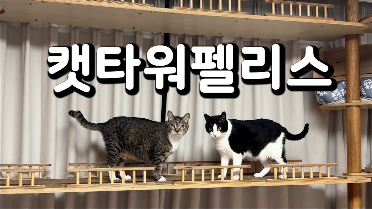 춘봉첨지 청약 당첨됐어요